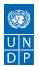 UNDP Moldova logo